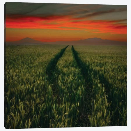 A Trampled Road In A Field Of Wheat Canvas Print #IVG428} by Ievgeniia Bidiuk Canvas Wall Art