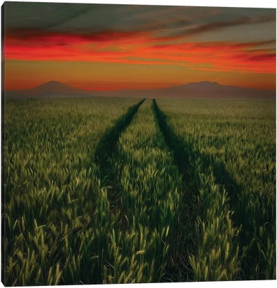 A Trampled Road In A Field Of Wheat Canvas Art Print - Ievgeniia Bidiuk