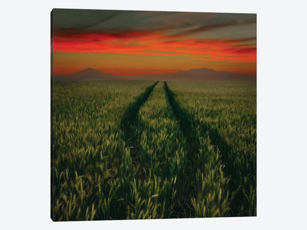 A Trampled Road In A Field Of Wheat by Ievgeniia Bidiuk 1-piece Canvas Art Print