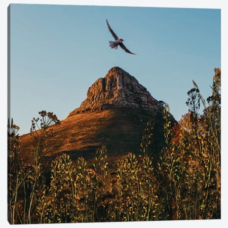 A Bird Flying Over The Hill Golden Grass At The Foot Of The Mountain Canvas Print #IVG430} by Ievgeniia Bidiuk Art Print