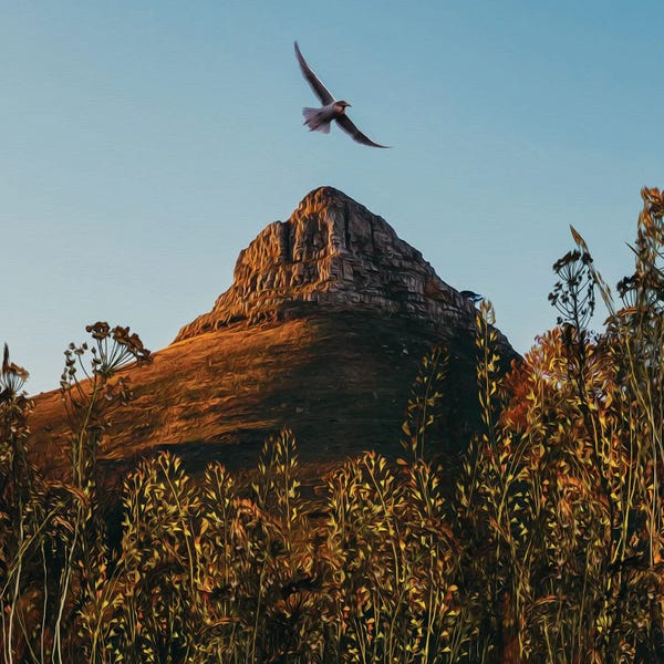 Ievgeniia Bidiuk: A Bird Flying Over The Hill Golden Grass At The Foot Of The Mountain by Ievgeniia Bidiuk