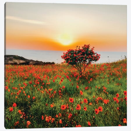 A Flowering Tree In A Clearing With Red Poppies Canvas Print #IVG432} by Ievgeniia Bidiuk Art Print