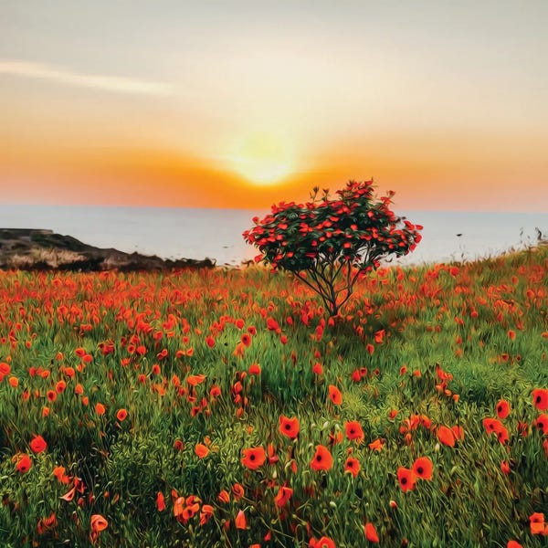 Ievgeniia Bidiuk: A Flowering Tree In A Clearing With Red Poppies by Ievgeniia Bidiuk