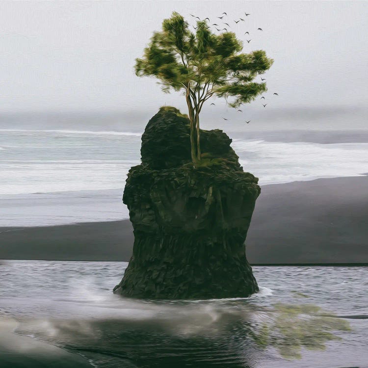 A Tree Growing On A Small Rock In The Open Ocean