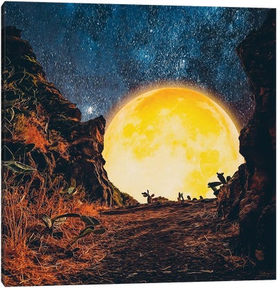 A Big Moon At The Cliff Face Canvas Art Print - Ievgeniia Bidiuk