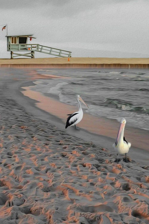 Two Pelicans On A Sandy Beach At Sunset