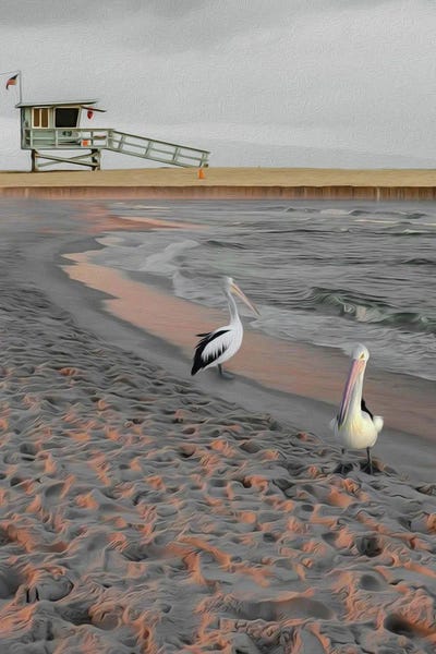 Ievgeniia Bidiuk: Two Pelicans On A Sandy Beach At Sunset by Ievgeniia Bidiuk