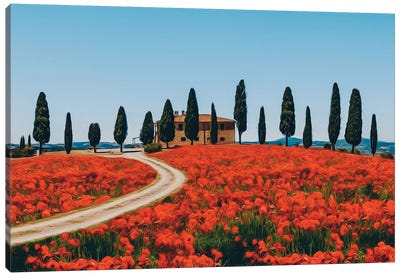 A Poppy Field In Tuscany Canvas Art Print - Cypress Tree Art