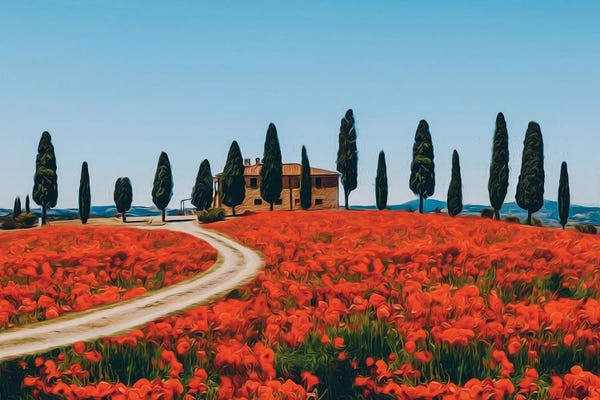 Cypress Trees: A Poppy Field In Tuscany by Ievgeniia Bidiuk