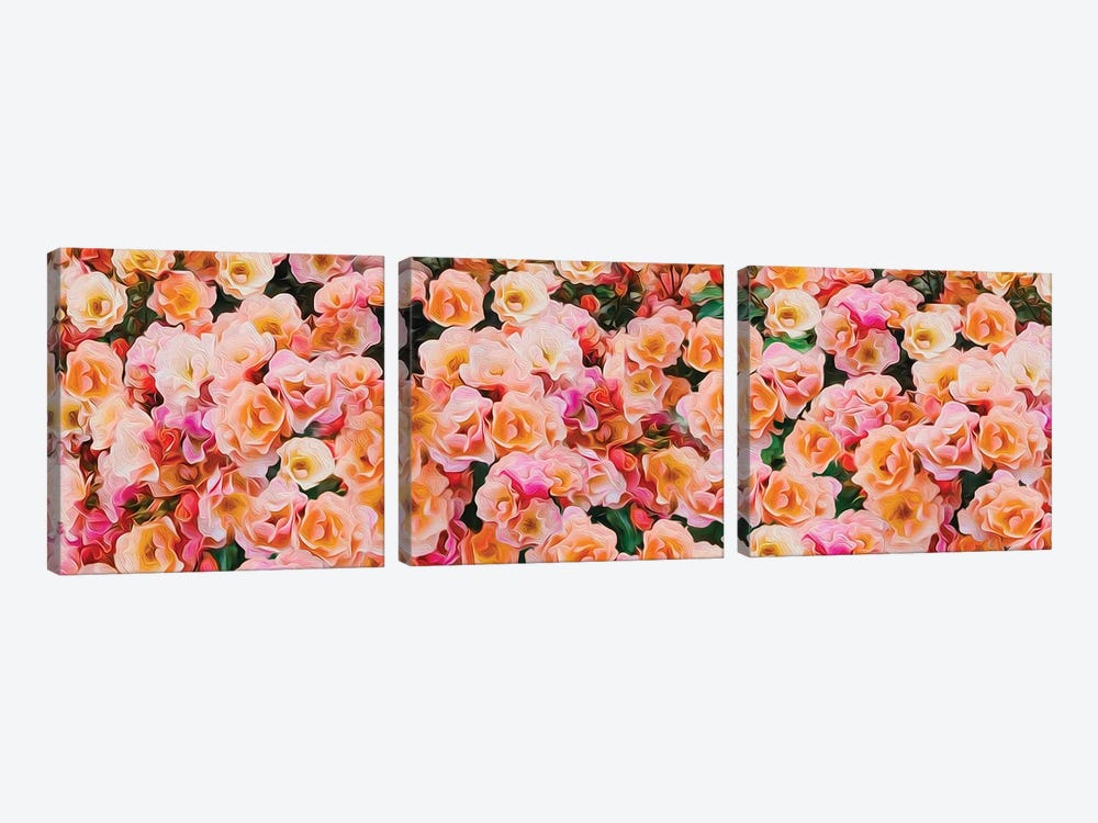 Horizontal Background Of Orange Park Roses by Ievgeniia Bidiuk 3-piece Art Print