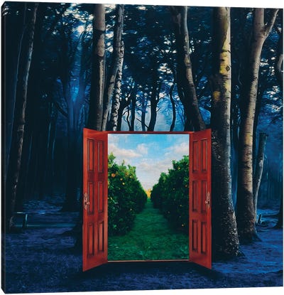 Open Doors To A Summer Garden In The Forest At Night Canvas Art Print - Through The Looking Glass
