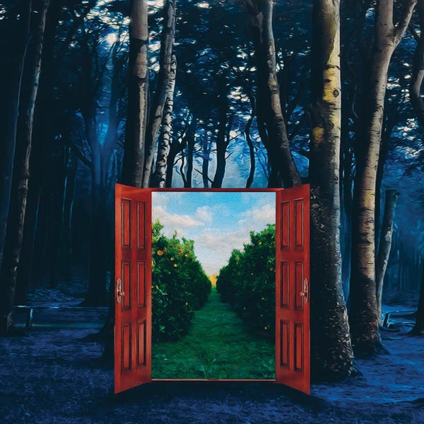 Ievgeniia Bidiuk: Open Doors To A Summer Garden In The Forest At Night by Ievgeniia Bidiuk