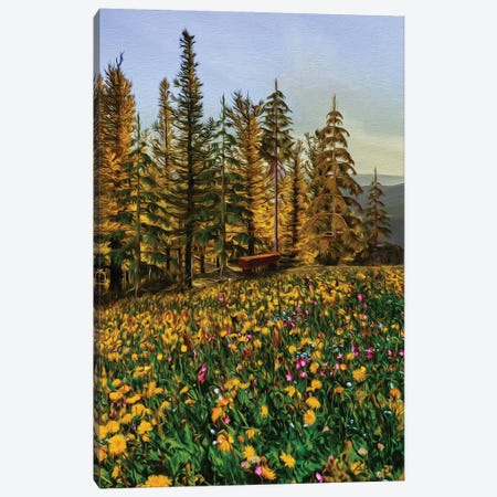 A Flower Meadow In Front Of The Forest Canvas Print #IVG453} by Ievgeniia Bidiuk Art Print