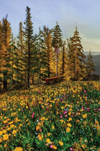 Ievgeniia Bidiuk: A Flower Meadow In Front Of The Forest by Ievgeniia Bidiuk