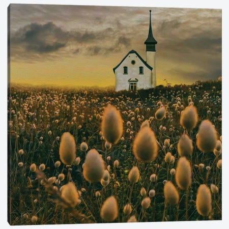 A Small Tower House In A Clearing With Growing Lagurus Ovatus Canvas Print #IVG454} by Ievgeniia Bidiuk Canvas Artwork