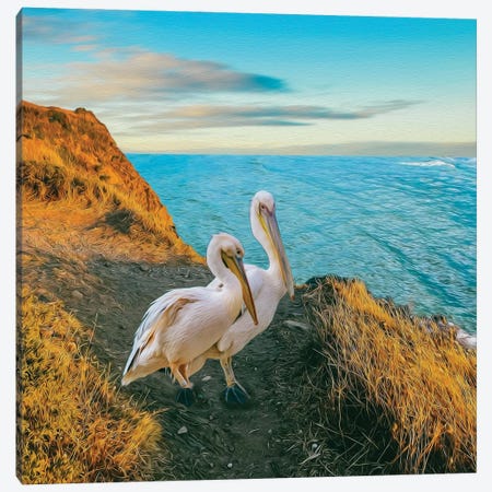 Two Pelicans On A Mountain Hill By The Sea Canvas Print #IVG459} by Ievgeniia Bidiuk Canvas Print