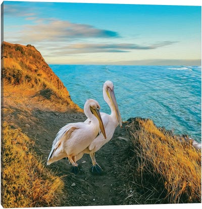 Two Pelicans On A Mountain Hill By The Sea Canvas Art Print - Pelican Art