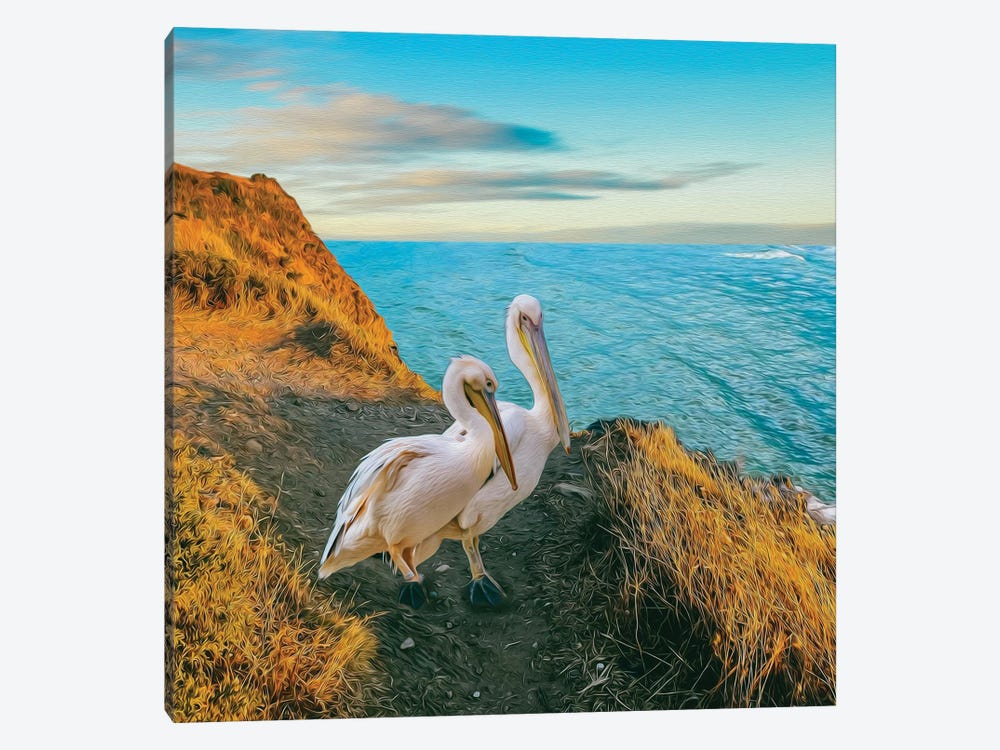 Two Pelicans On A Mountain Hill By The Sea by Ievgeniia Bidiuk 1-piece Art Print