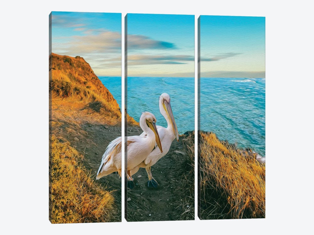 Two Pelicans On A Mountain Hill By The Sea by Ievgeniia Bidiuk 3-piece Canvas Art Print
