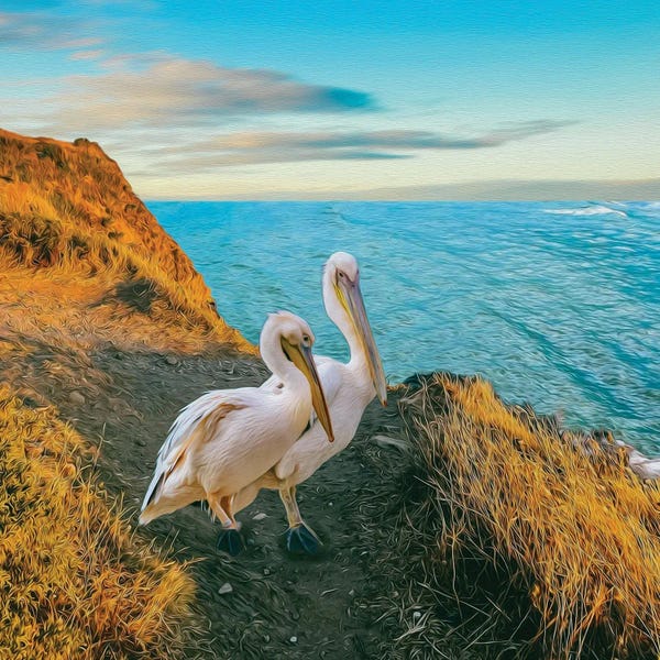 Ievgeniia Bidiuk: Two Pelicans On A Mountain Hill By The Sea by Ievgeniia Bidiuk