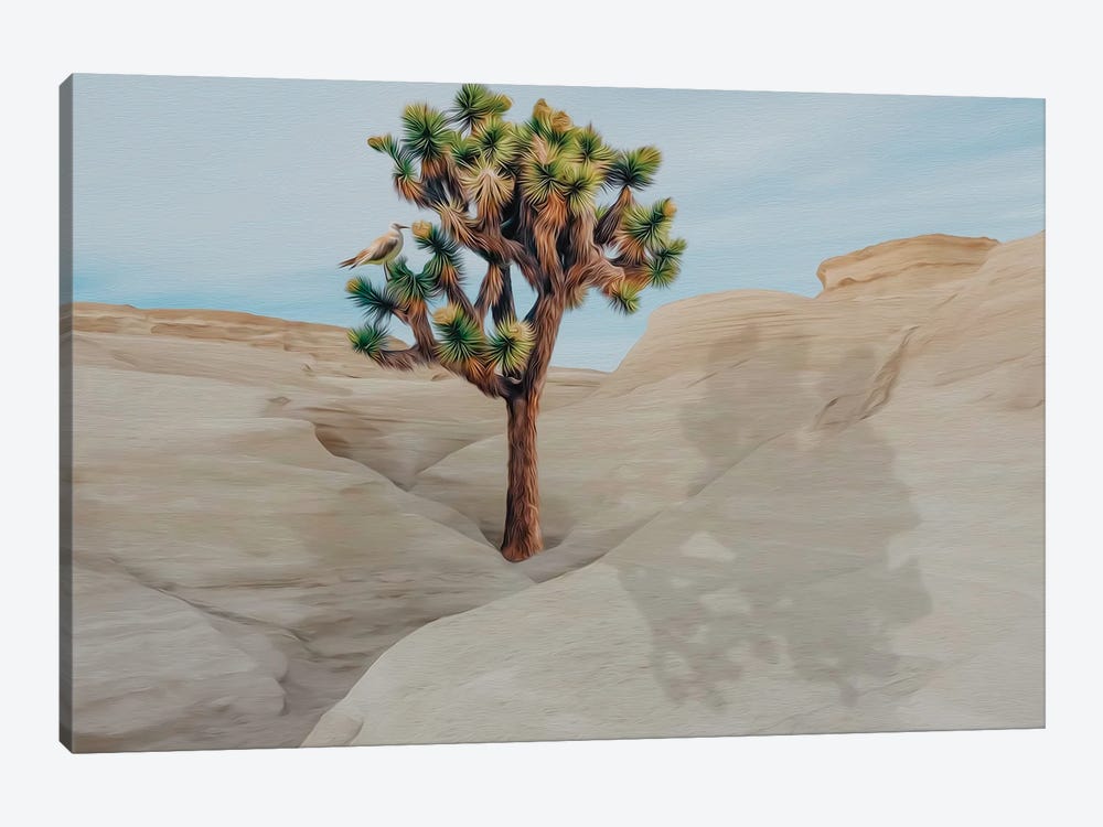 Joshua Tree On A Hill In The Desert by Ievgeniia Bidiuk 1-piece Canvas Art Print