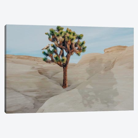 Joshua Tree On A Hill In The Desert Canvas Print #IVG460} by Ievgeniia Bidiuk Canvas Art