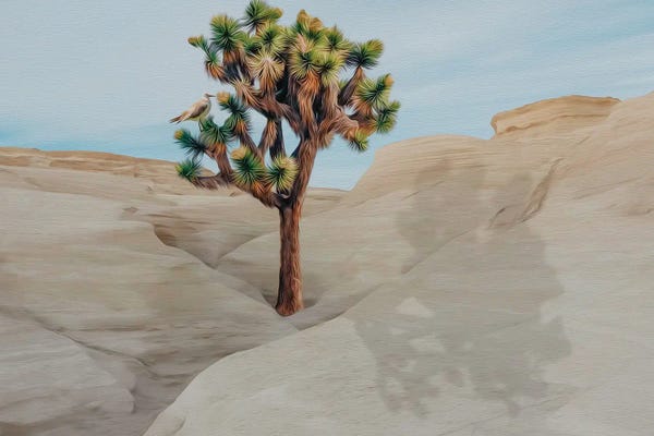 Ievgeniia Bidiuk: Joshua Tree On A Hill In The Desert by Ievgeniia Bidiuk