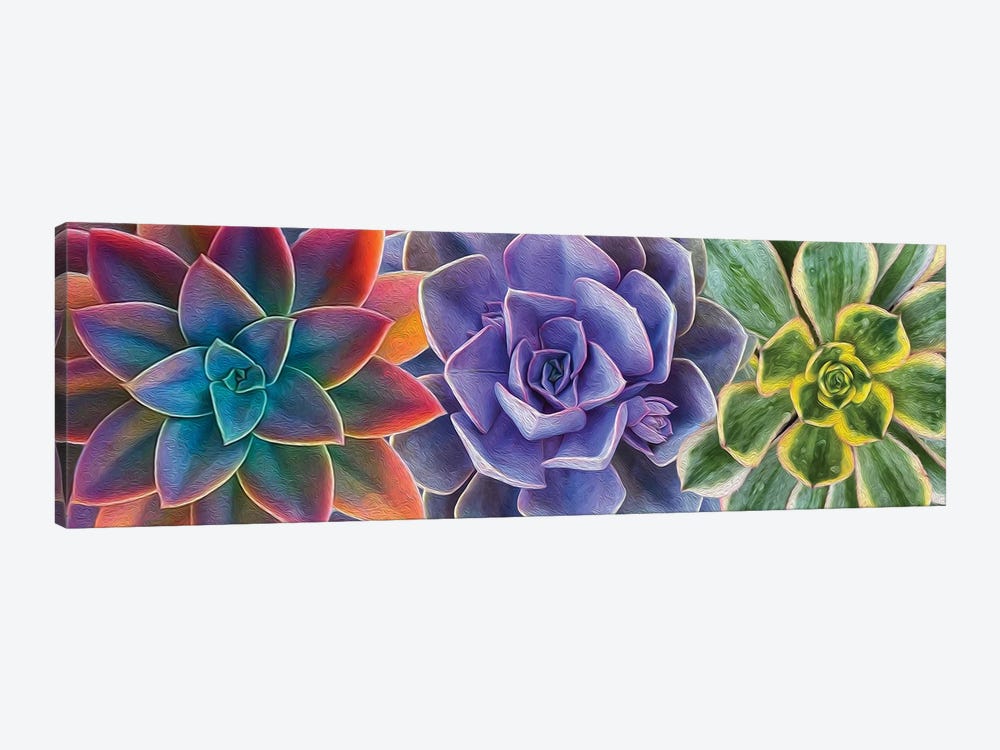 A Background Of Colorful Succulents by Ievgeniia Bidiuk 1-piece Art Print
