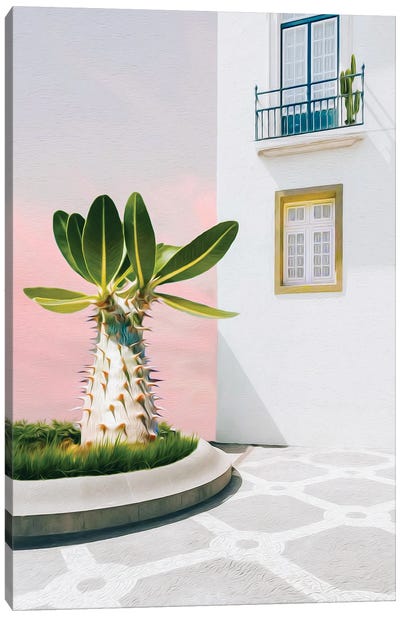 A Large Cactus Outside An Old House Canvas Art Print - Palm Springs Art