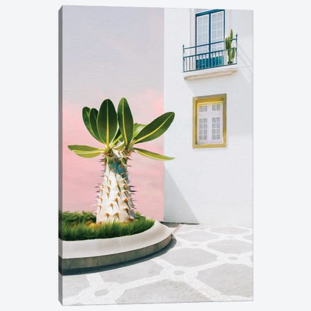 A Large Cactus Outside An Old House Canvas Print #IVG463} by Ievgeniia Bidiuk Canvas Artwork
