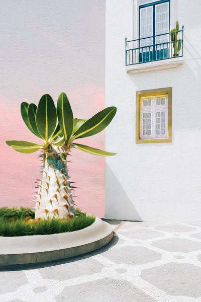 Ievgeniia Bidiuk: A Large Cactus Outside An Old House by Ievgeniia Bidiuk