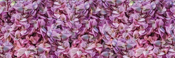 Ievgeniia Bidiuk: A Backdrop Of Pink Hemigraphis Leaves by Ievgeniia Bidiuk