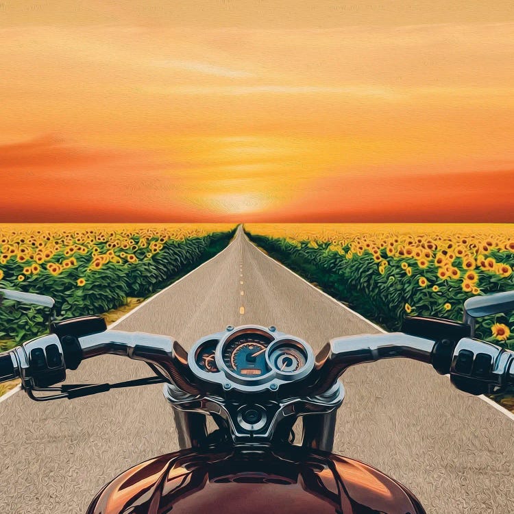 A View From The Motorbike Driver's Perspective Of Fields Of Sunflowers In Bloom