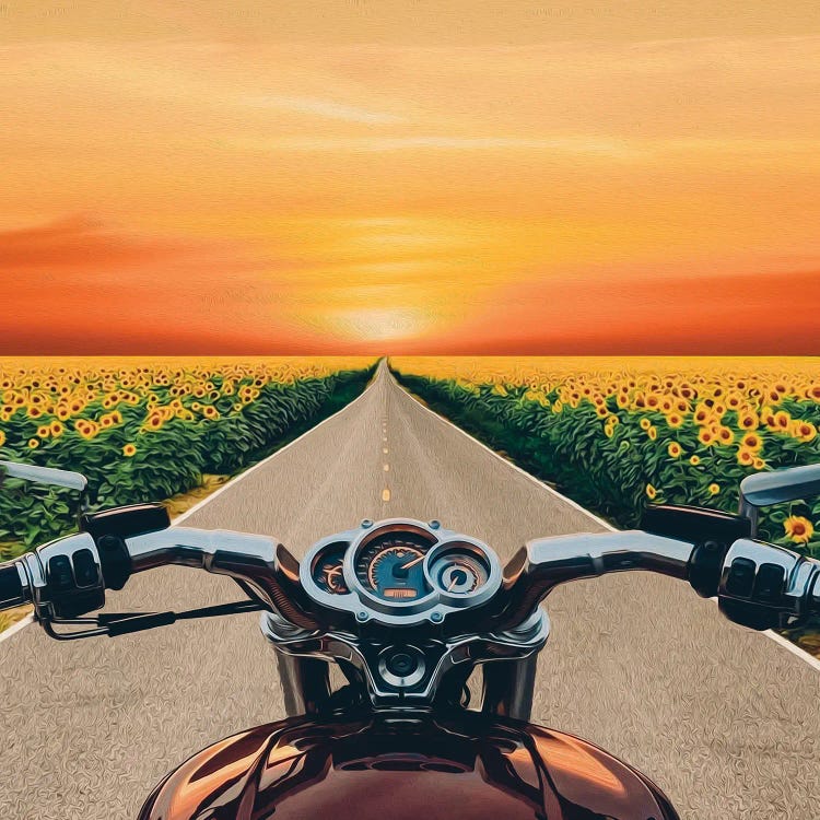 A View From The Motorbike Driver's Perspective Of Fields Of Sunflowers In Bloom by Ievgeniia Bidiuk wall art