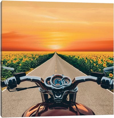 A View From The Motorbike Driver's Perspective Of Fields Of Sunflowers In Bloom Canvas Art Print - Sunflower Art