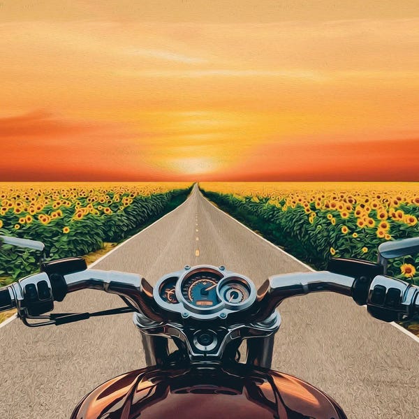 A View From The Motorbike Driver's Perspective Of Fields Of Sunflowers In Bloom
