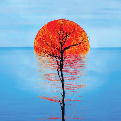 Drowning Sun by Ievgeniia Bidiuk framed wall art