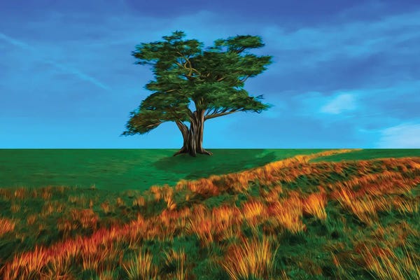 Ievgeniia Bidiuk: A Big Tree In A Field by Ievgeniia Bidiuk
