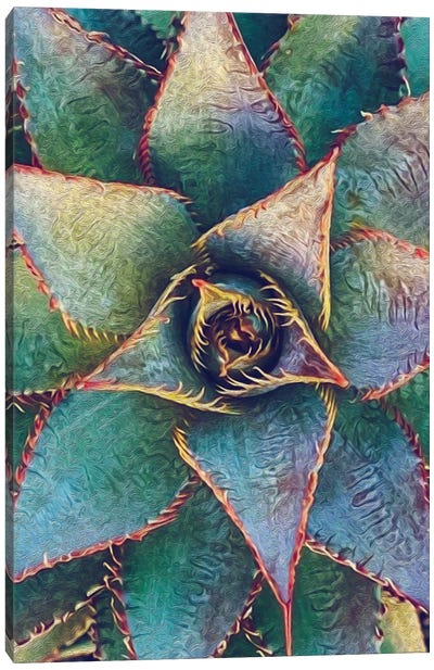Mexican Agave Canvas Art Print - Artists From Ukraine