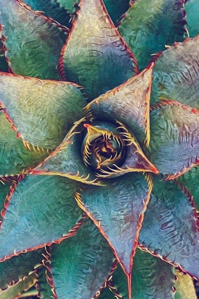 Ievgeniia Bidiuk: Mexican Agave by Ievgeniia Bidiuk