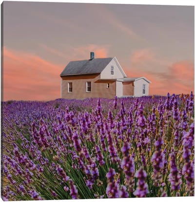 A Wooden House In A Lavender Field Canvas Art Print - Lavender Art