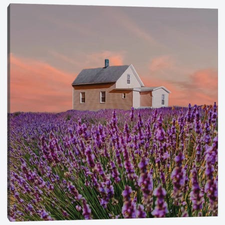 A Wooden House In A Lavender Field Canvas Print #IVG473} by Ievgeniia Bidiuk Canvas Print