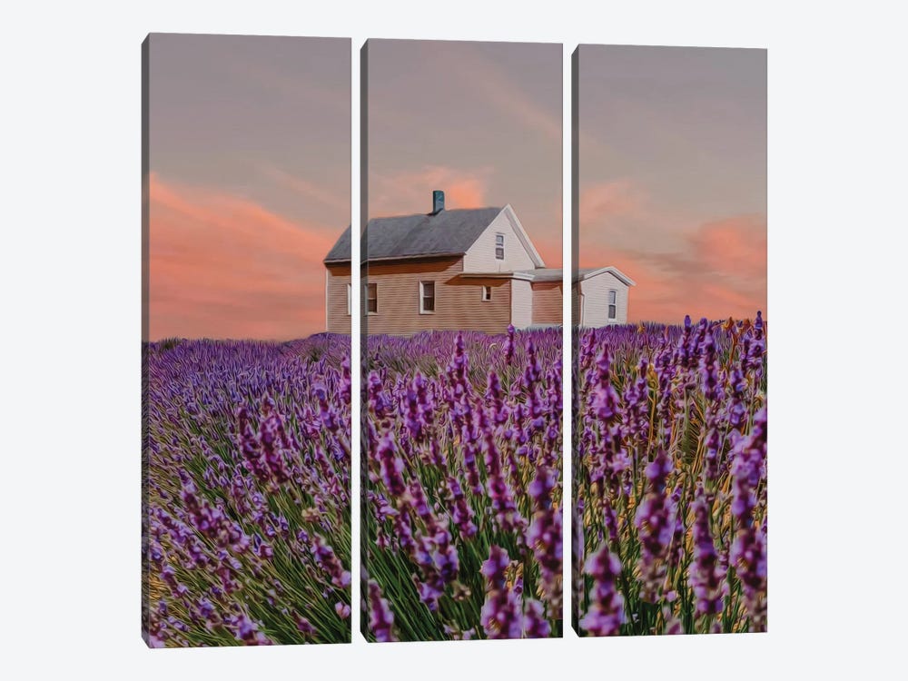 A Wooden House In A Lavender Field by Ievgeniia Bidiuk 3-piece Canvas Print