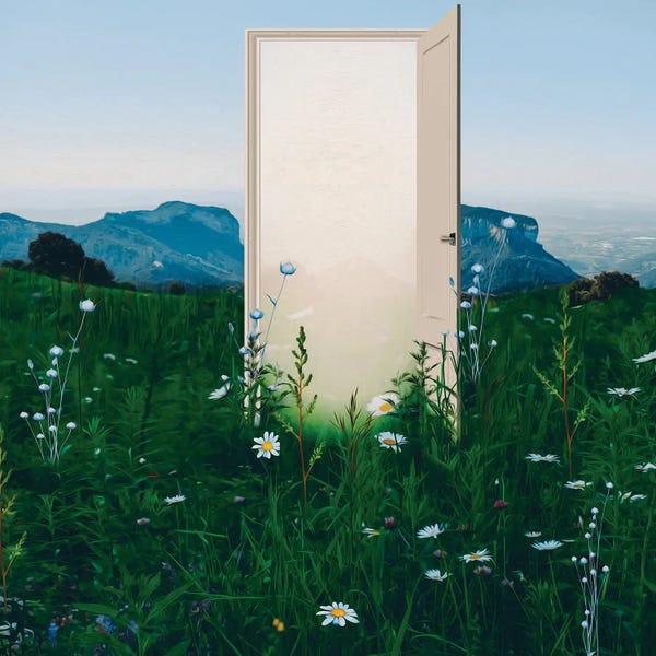 Ievgeniia Bidiuk: Open Doors In The Grass In The Meadow by Ievgeniia Bidiuk