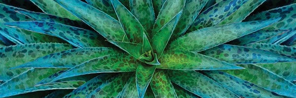 Ievgeniia Bidiuk: Mint Agave by Ievgeniia Bidiuk