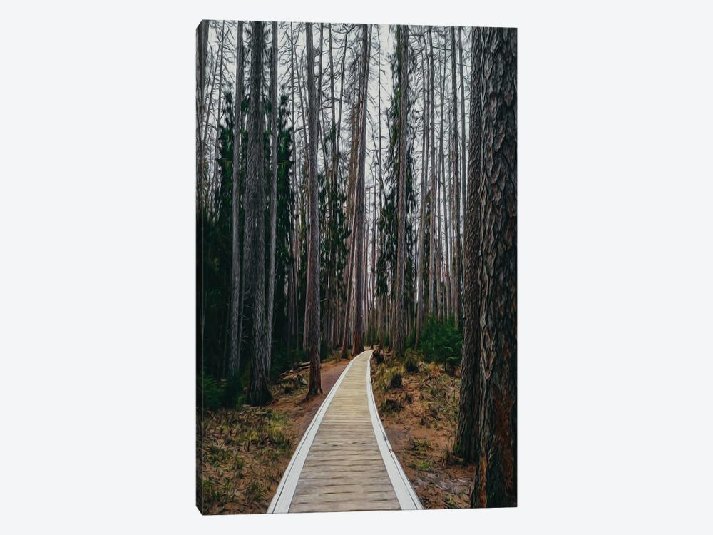 A Wooden Path In A Pine Forest by Ievgeniia Bidiuk 1-piece Canvas Art