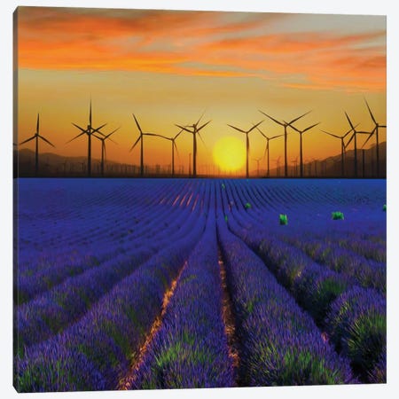 A Wind Farm In A Lavender Field Canvas Print #IVG487} by Ievgeniia Bidiuk Canvas Art Print