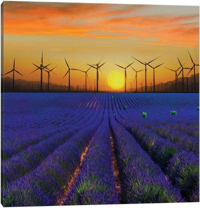 A Wind Farm In A Lavender Field Canvas Art Print - Watermill & Windmill Art