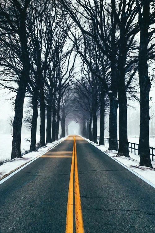 A Track In Winter Through A Tunnel Of Trees