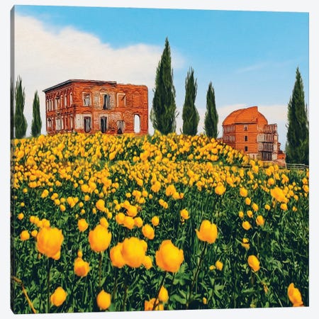 A Meadow Of Yellow Flowers Against A Backdrop Of Old Dilapidated Houses In Italy Canvas Print #IVG489} by Ievgeniia Bidiuk Canvas Wall Art